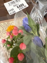 日本アグリビジネス 生花499