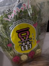 トレイド広協 豆苗