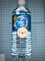 龍泉洞 地底湖の水 ペット 500ml