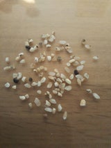 百萬粒 本場新潟米 5kg