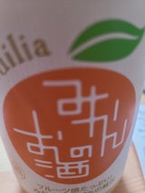 國盛 フルリア みかんのお酒 300ml