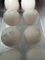 卵パック 10HMS自然卵白玉 横浜鶏卵 1500