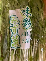 グリーンF チンゲン菜 1P