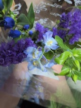 メルシー 切花550 1P