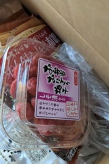 神尾 お弁当おにぎりしそ漬 140g