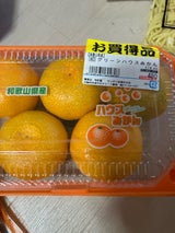 ケイネット ハウスみかん