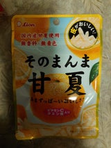 ライオン菓子 そのまんま甘夏 25g（ライオン菓子）の口コミ・レビュー