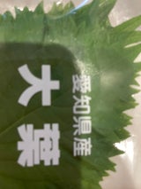 オオバ 10マイイリ