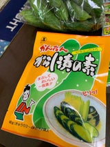 マルフク かんたんからし漬の素 92g