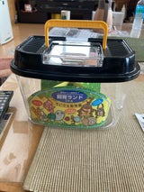 IRIS 飼育ランド ブラック CY-S