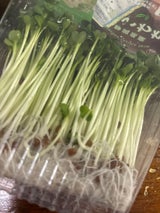 田島農園 かいわれL