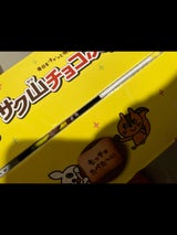 正栄デリシィ サク山チョコ次郎 18P