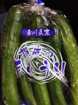 JA香川 きゅうり 500g