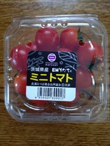 北浦 ミニとまと 1P