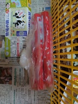 ジユンテンコウ