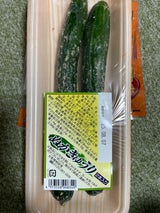 関口 ぬかきゅうりトレー 2本