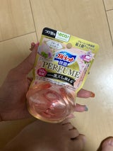 液体ブルーレット除菌PパフュームFS 替 67ml