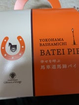 ガトードV 幸せを呼ぶ馬車道馬蹄パイHP(B)-S