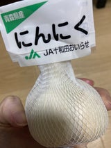 十和田市 にんにく