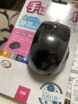 有線静音マウス M-BL27UBSKBK