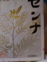 本草センナ(分包) 48包