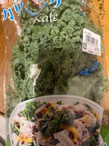 トキタ種苗 カリーノケール 50g