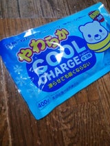 紀陽 保冷剤やわらかクールチャージ