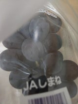 JAしまね 島根県産種無し巨峰