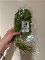 はだのふぁーむ サラダクレソン