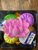 村瀬 蓮の皿 5個