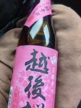越後桜 普通酒 720ml