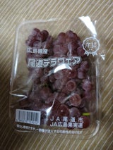 JA広島 尾道デラウェア 1P