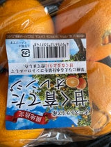 ケーアイ ネーブルオレンジケミカル 袋入