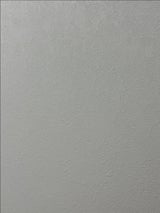 淡路島たまねぎフルーツ玉ねぎスープ 6.2g×10