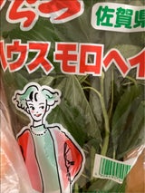 JA唐津 モロヘイヤ 100g