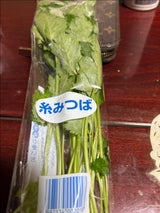 池田 糸みつば 1P