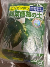 花ごころ 観葉植物の土 2l