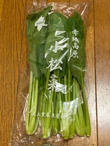 カネエイ こまつな 250g