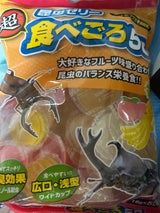 ミタニ 超食べごろ50 50個