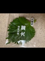 オオバ 5マイイリ