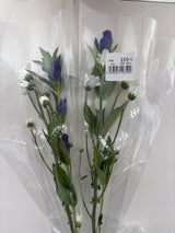 花国 花350円/ルート花国
