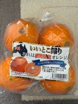 名果 ネーブルオレンジ