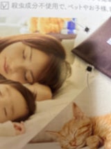 Vダニ捕獲シート 5枚