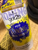 got2b トーニングカラーSP 300ml