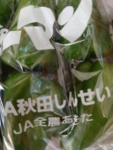 JA秋田 ピーマン