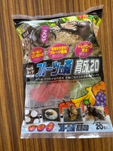 フジコン ワイドカップ フルーツの森 育成 20個