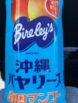 沖縄バヤリース マンゴー ペットボトル500ml