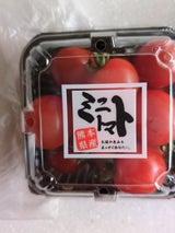 タケウチ 熊本県産ミニとまと 200g