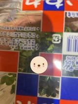 グリーンG カイワレ