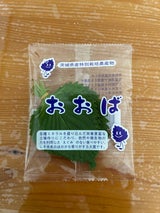 ホッタ おおば 1P